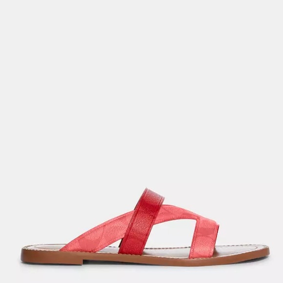 Coach sandal - Picture 10 of 11